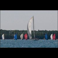 CEF8240 srgb copyrt.jpg